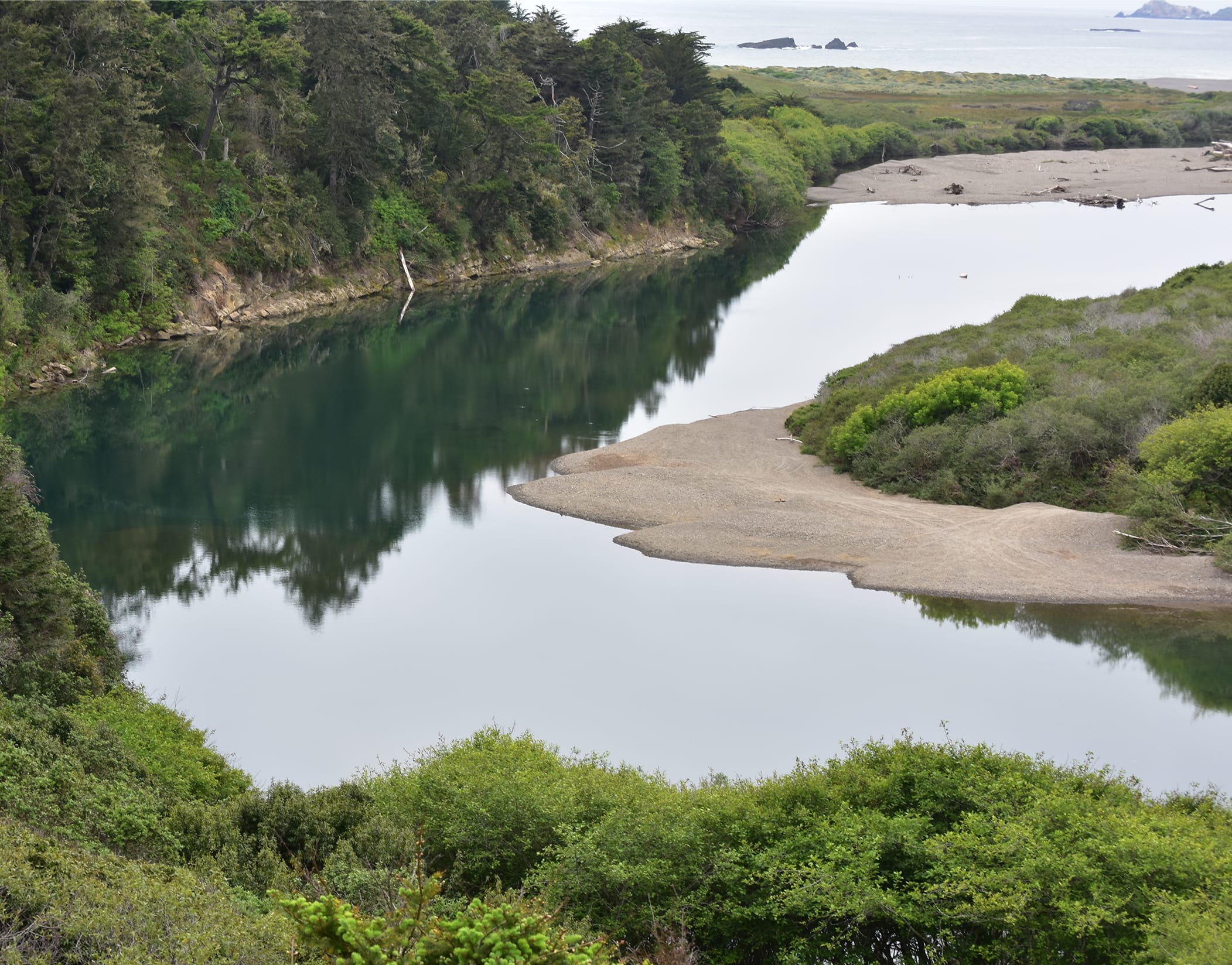 River mouth n California Winter Steelhead Book