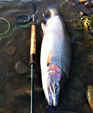 Dennis P. Lee new book: California Winter Steelhead Book