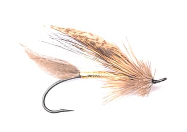 Steelhead assorted flies - 2021 boxed collections available to