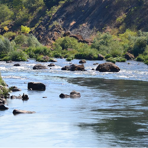 Rogue River
