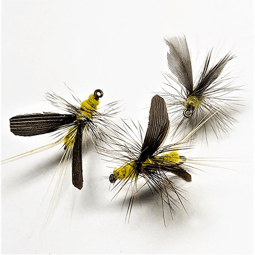 Fly Tying Lessons Learn how to tie flies for your own fly box